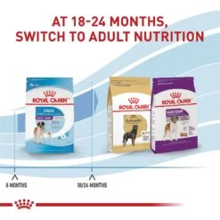 Royal Canin Size Health Nutrition Giant Junior Dry Dog Food -Cozy Paws 63278 PT7. AC SS1800 V1697213773
