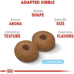 Royal Canin Size Health Nutrition Large Aging 8+ Dry Dog Food -Cozy Paws 63298 PT3. AC SS1800 V1697212396