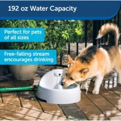 PetSafe Drinkwell Everflow Plastic Dog & Cat Fountain -Cozy Paws 63326 PT6. AC SS1800 V1598894156