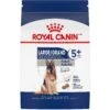 Royal Canin Size Health Nutrition Large Adult 5+ Dry Dog Food -Cozy Paws 63336 MAIN. AC SS1800 V1697653171