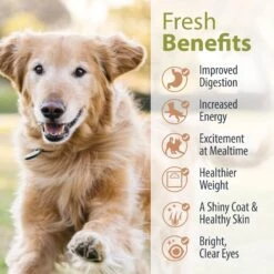 JustFoodForDogs Veterinary Diet PantryFresh Metabolic Support Shelf-Stable Fresh Dog Food, 12.5-oz Pouch, Case Of 12 -Cozy Paws 638806 PT5. AC SS1800 V1666299611