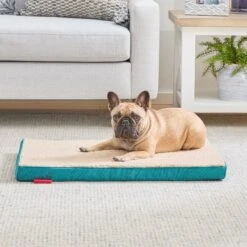 Brindle 2-in Orthopedic With Machine Washable Cover Dog & Cat Bed -Cozy Paws 639206 PT2. AC SS1800 V1662758577