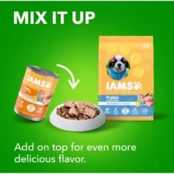 Iams Proactive Health Large Breed Puppy High Protein DHA Formula With Real Chicken Dry Dog Food -Cozy Paws 63946 PT8. AC SS1800 V1667865430
