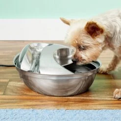 Pioneer Pet Stainless Steel Dog & Cat Fountain Raindrop Design -Cozy Paws 64088 PT2. AC SS1800 V1630554739