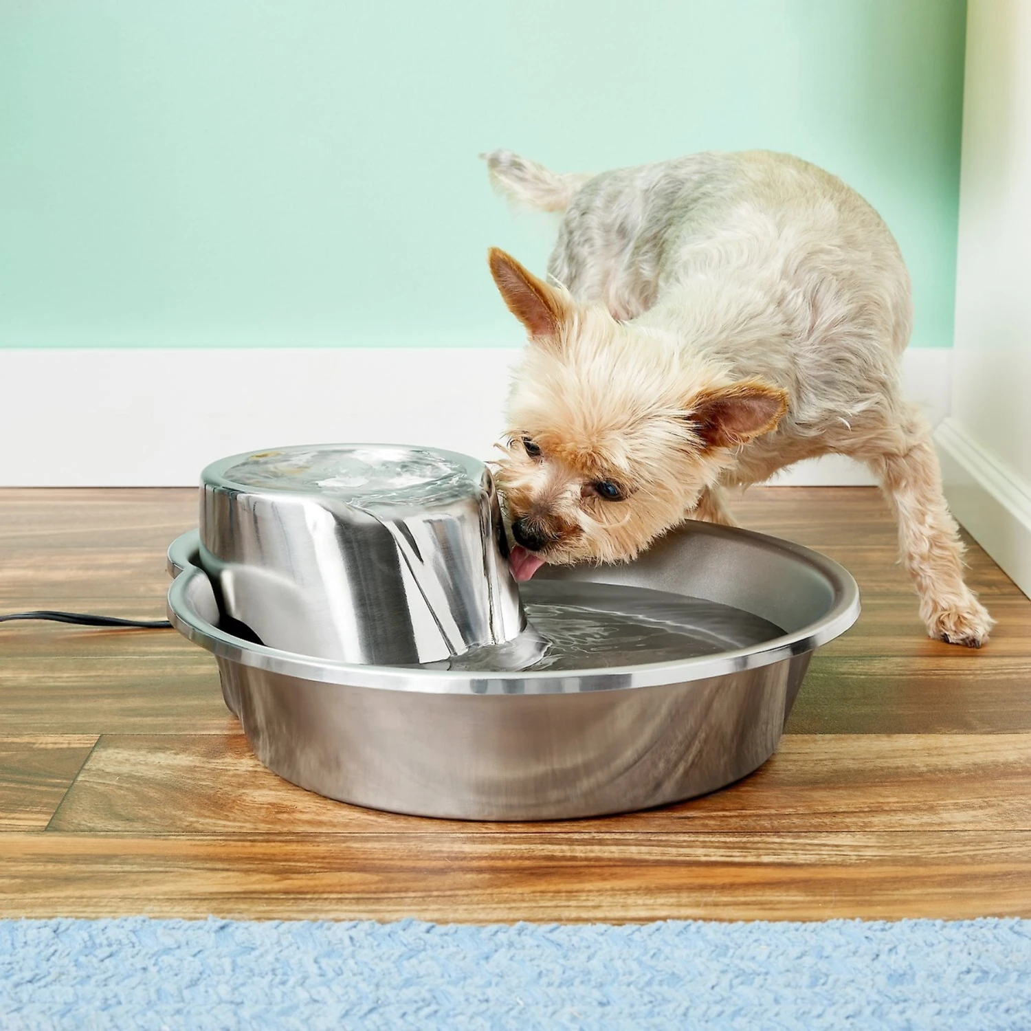 Pioneer Pet Big Max Style Stainless Steel Dog & Cat Fountain, 128-oz 4 Pioneer Pet Big Max Style Stainless Steel Dog & Cat Fountain, 128-oz - Image 2