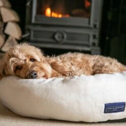 HUGO & HUDSON Donut Dog Bed -Cozy Paws 643214 PT7. AC SS1800 V1663710706