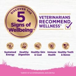 Wellness Toy Breed Complete Health Adult Deboned Chicken, Brown Rice & Peas Recipe Dry Dog Food -Cozy Paws 64431 PT2. AC SS1800 V1677613904