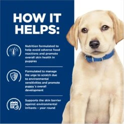 Hill's Prescription Diet Derm Complete Puppy Environmental/Food Sensitivities Rice & Egg Recipe Dry Dog Food, 14.3-lb Bag -Cozy Paws 647350 PT5. AC SS1800 V1663712812