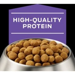 Purina Pro Plan Veterinary Diets DH Dental Health Dry Dog Food -Cozy Paws 65049 PT3. AC SS1800 V1700158352