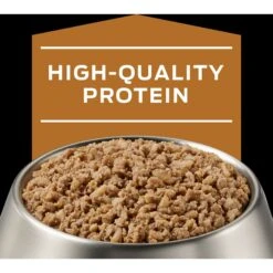Purina Pro Plan Veterinary Diets NF Kidney Function Wet Dog Food 14 Purina Pro Plan Veterinary Diets NF Kidney Function Wet Dog Food -Cozy Paws 65064 PT3. AC SS1800 V1700157132