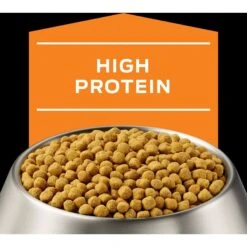 Purina Pro Plan Veterinary Diets OM Overweight Management Dry Dog Food -Cozy Paws 65067 PT3. AC SS1800 V1700689236