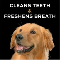 Purina Pro Plan Veterinary Diets Dental Chewz Dental Chew Dog Treats -Cozy Paws 65078 PT3. AC SS1800 V1677166230