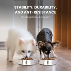 Iconic Pet Anti Ant Stainless Steel Non Skid Dog & Cat Bowl, 2 Count -Cozy Paws 652046 PT2. AC SS1800 V1663881086