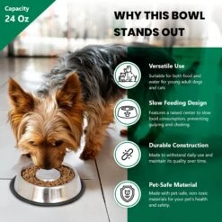 Iconic Pet Slow Feed Stainless Steel Dog & Cat Bowl, 2 Count -Cozy Paws 652158 PT3. AC SS1800 V1663880906