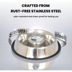 Iconic Pet Slow Feed Stainless Steel Dog & Cat Bowl, 2 Count -Cozy Paws 652158 PT5. AC SS1800 V1663880360