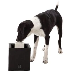 Dogit Design Alfresco Outdoor Drinking Plastic Fountain 11 Dogit Design Alfresco Outdoor Drinking Plastic Fountain -Cozy Paws 65640 PT3. AC SS1800 V1626361309