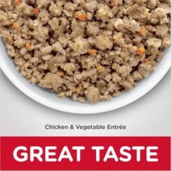 Hill's Science Diet Adult Sensitive Stomach & Skin Chicken & Vegetable Entrée Canned Dog Food & Hill's Science Diet Adult Sensitive Stomach & Skin Tender Turkey & Rice Stew Canned Dog Food -Cozy Paws 656822 PT4. AC SS1800 V1665781903