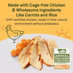 CANIDAE Sustain Bone Broth Toppers Premium Recipe With Cage-Free Chicken Dog Food Topper, 5.5-oz, Case Of 12 -Cozy Paws 660534 PT2. AC SS1800 V1664554258