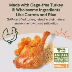 CANIDAE Sustain Bone Broth Toppers Premium Recipe With Cage-Free Turkey Dog Food Topper, 5.5-oz, Case Of 12 -Cozy Paws 660550 PT2. AC SS1800 V1664555121