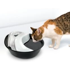 Pioneer Pet Plastic Dog & Cat Fountain Raindrop Design, 60-oz -Cozy Paws 66968 PT2. AC SS1800 V1598655411