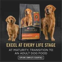 Purina Pro Plan Development Puppy Chicken & Rice Entree Canned Dog Food -Cozy Paws 67446 PT7. AC SS1800 V1689791335