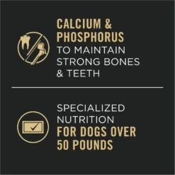 Purina Pro Plan Specialized Adult Large Breed Chicken & Rice Entree Canned Dog Food -Cozy Paws 67450 PT3. AC SS1800 V1694719332