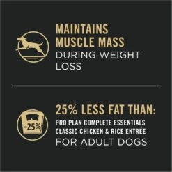 Purina Pro Plan Specialized Adult Weight Management Turkey & Rice Entree Canned Dog Food -Cozy Paws 67452 PT3. AC SS1800 V1694719388