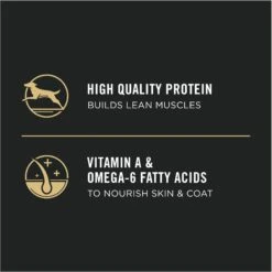 Purina Pro Plan High Protein Chicken & Rice Formula Dry Puppy Food -Cozy Paws 67481 PT6. AC SS1800 V1683575123