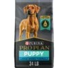 Purina Pro Plan High Protein Chicken & Rice Formula Large Breed Dry Puppy Food -Cozy Paws 67488 MAIN. AC SS1800 V1683569756