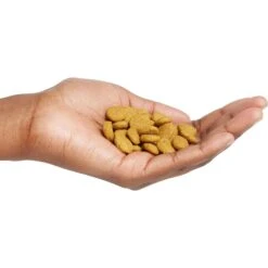 Purina Pro Plan High Protein Chicken & Rice Formula Large Breed Dry Puppy Food -Cozy Paws 67488 PT4. AC SS1800 V1683575898