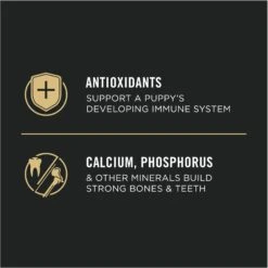 Purina Pro Plan High Protein Chicken & Rice Formula Large Breed Dry Puppy Food -Cozy Paws 67488 PT7. AC SS1800 V1683575011