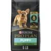 Purina Pro Plan Puppy Small Breed Chicken & Rice Formula Dry Dog Food