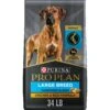 Purina Pro Plan Adult Large Breed Shredded Blend Chicken & Rice Formula Dry Dog Food -Cozy Paws 67519 MAIN. AC SS1800 V1649116933