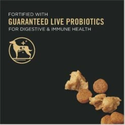 Purina Pro Plan Adult 7+ Shredded Blend Chicken & Rice Formula Dry Dog Food -Cozy Paws 67527 PT2. AC SS1800 V1649219786