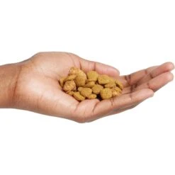 Purina Pro Plan Adult 7+ Shredded Blend Chicken & Rice Formula Dry Dog Food -Cozy Paws 67527 PT4. AC SS1800 V1649195892