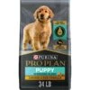 Purina Pro Plan Puppy Shredded Blend Chicken & Rice Formula With Probiotics Dry Dog Food -Cozy Paws 67531 MAIN. AC SS1800 V1683568817