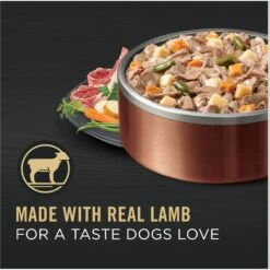 Purina Pro Plan Savor Adult Lamb & Vegetables Entree Slices In Gravy Canned Dog Food -Cozy Paws 67579 PT2. AC SS1800 V1689786106
