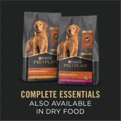 Purina Pro Plan Savor Adult Lamb & Vegetables Entree Slices In Gravy Canned Dog Food -Cozy Paws 67579 PT6. AC SS1800 V1689791309