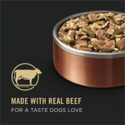 Purina Pro Plan Savor Adult Seared Beef, Green Beans & Brown Rice Entree In Gravy Canned Dog Food -Cozy Paws 67585 PT8. AC SS1800 V1638307589
