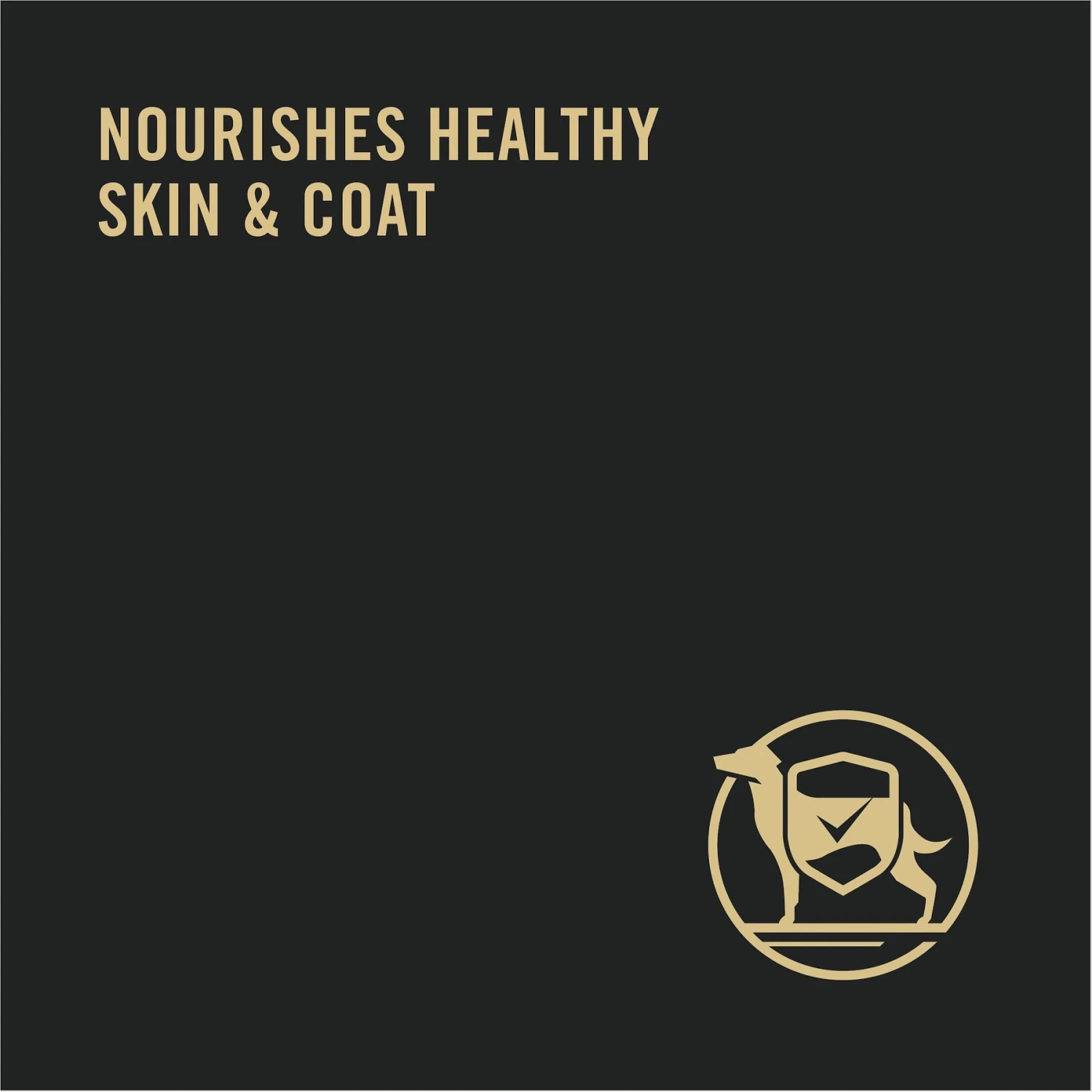 Purina Pro Plan Adult Shredded Beef & Lamb Entree In Gravy Canned Dog Food 8 Purina Pro Plan Adult Shredded Beef & Lamb Entree In Gravy Canned Dog Food - Image 6