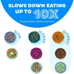 Outward Hound Stainless Steel Fun Slow Feeder Dog Bowl -Cozy Paws 684942 PT3. AC SS1800 V1694439620