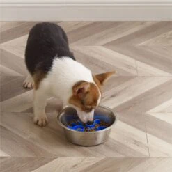 Outward Hound Stainless Steel Fun Slow Feeder Dog Bowl -Cozy Paws 684942 PT7. AC SS1800 V1694439666