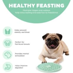 Outward Hound Fun Feeder Slo Tray Slow Feeder Dog Bowl -Cozy Paws 684958 PT4. AC SS1800 V1694440049