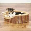 Petmate Antimicrobial Deluxe Bolster Cat & Dog Bed With Removable Cover, Color Varies -Cozy Paws 68558 MAIN. AC SS1800 V1566935555