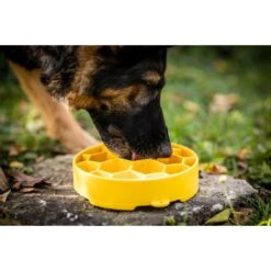 SodaPup Honeycomb Slow Feeder Dog Bowl, Yellow, Large -Cozy Paws 690574 PT3. AC SS1800 V1667519660