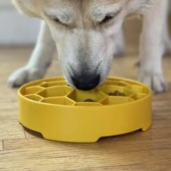 SodaPup Honeycomb Slow Feeder Dog Bowl, Yellow, Large -Cozy Paws 690574 PT5. AC SS1800 V1667518869