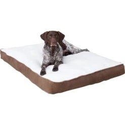 Happy Hounds Dolly Deluxe Supportive Cat & Dog Bed -Cozy Paws 691982 PT3. AC SS1800 V1698939451