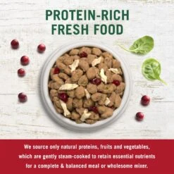 Freshpet Dognation Turkey Bacon Grain-Free Fresh Dog Treats, 3-oz Bag, Case Of 6 & Freshpet Vital Chicken Recipe Grain-Free Small Breed Fresh Dog Food -Cozy Paws 693182 PT5. AC SS1800 V1668627001