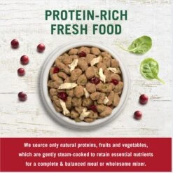 Freshpet Vital Chicken, Beef, Salmon & Egg Recipe Grain-Free Fresh Dog Food & Freshpet Dognation Turkey Bacon Grain-Free Fresh Dog Treats, 3-oz Bag, Case Of 6 -Cozy Paws 693190 PT3. AC SS1800 V1668628226