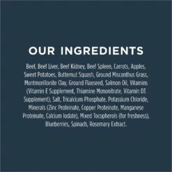 Instinct Freeze-Dried Raw Meals Real Beef Recipe Grain-Free Dog Food & Instinct Freeze-Dried Raw Boost Mixers Grain-Free Gut Health Recipe Dog Food Topper -Cozy Paws 693526 PT3. AC SS1800 V1669125654